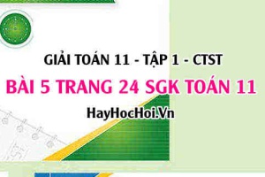 Giải bài 5 trang 24 Toán 11 tập 1 SGK Chân trời sáng tạo